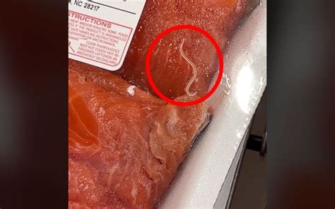 Worms In Costco Salmon Spark Unwarranted Outrage Outdoor Life