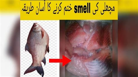 How To Remove Fish Smellfisk Ki Smell Khatam Karnay Ka Tariqamagic