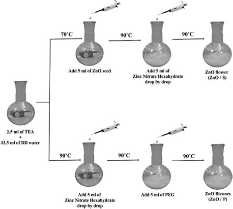 Schematic Representation Of Zno Nanostructures Synthesis Procedure