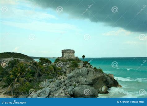 Mexico Coastline stock photo. Image of waves, plants, cloudy - 4784234