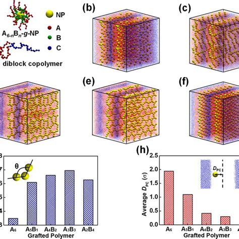 A Model Of The A 6−n B N Diblock Copolymer Grafted Nanoparticle And Download Scientific