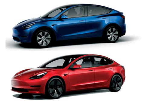 Tesla Model Vs Model Y Comparativa De Los Modelos