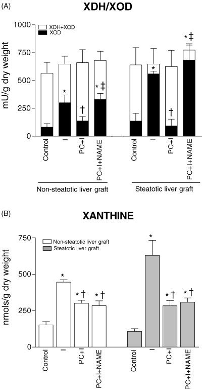 A) Hepatic xanthine dehydrogenase (XDH) and xanthine oxidase (XOD)... | Download Scientific Diagram