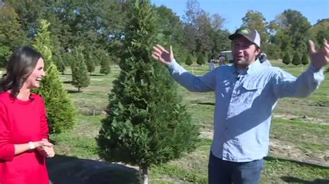 Frobergs Tree Farm In Alvin Ready For You To Choose And Cut Your Own