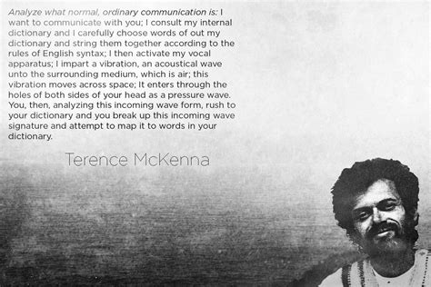 From Terence Mckenna Quotes. QuotesGram