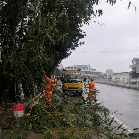 护航春运丨春运路上，公路人为您破竹“开路”竹子郑飚人员