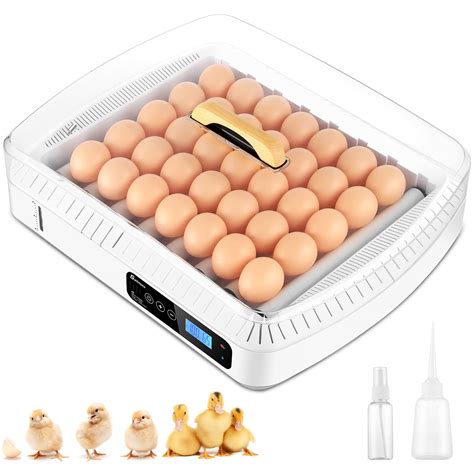 Buy Egg Incubator With Automatic Egg Turner Temperature Control