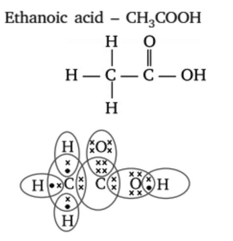 Draw The Electron Dot Structure Ethanoic Acid Brainly In