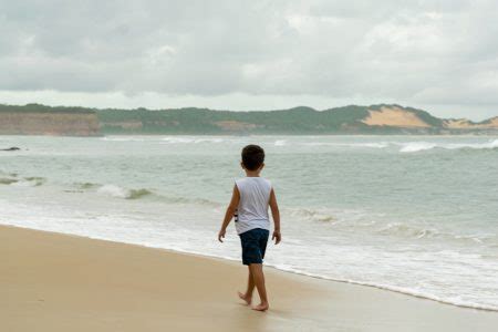 Caminhada Pela Praia De Pipa As Fal Sias Da Ba A Dos Golfinhos Ao