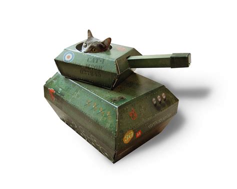 Cat Tank Content Gallery Cardboard Tanks For Cats