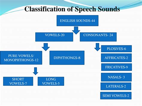 Solution Ppt On Phonetics Studypool