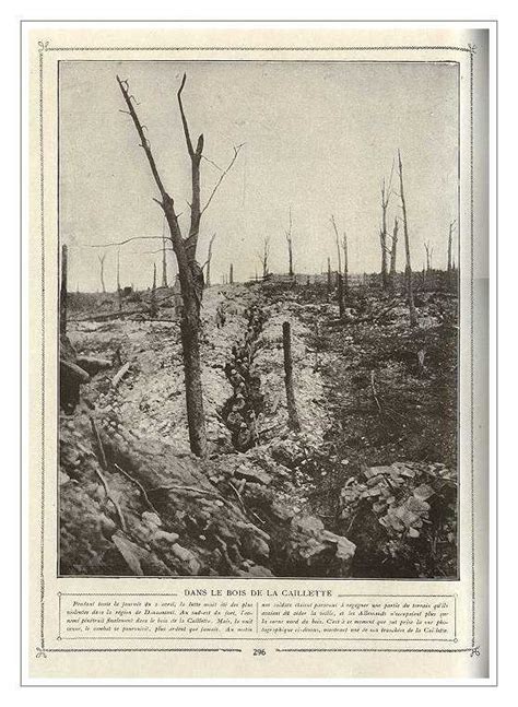 Trenches and Damage at Verdun