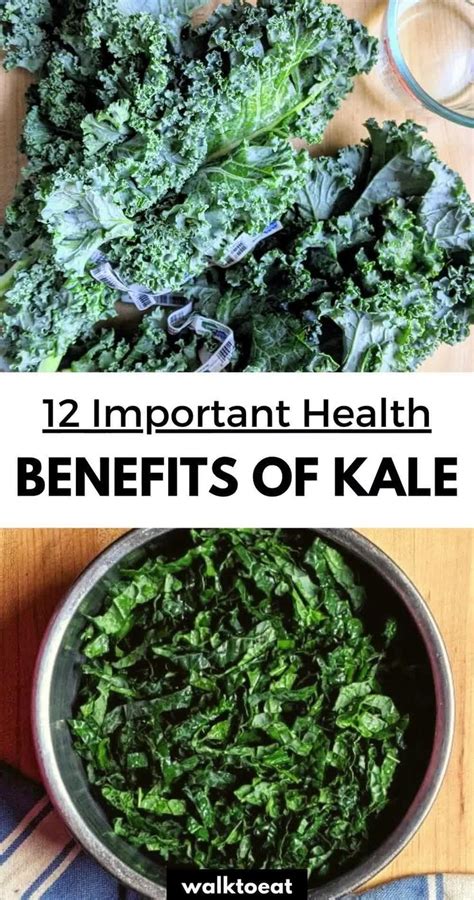 12 Health Benefits Of Kale Why You Should Eat More Kale Walktoeat