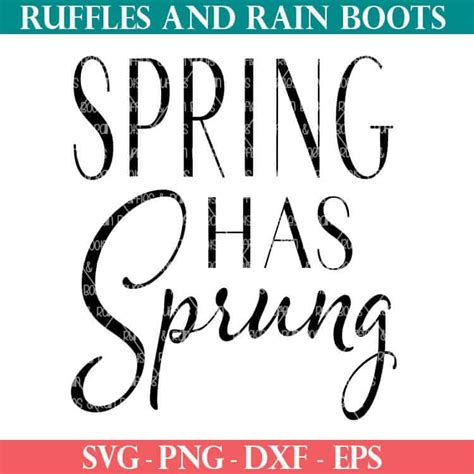 Spring Has Sprung SVG Home Decor Cut Files For Cricut And Silhouette