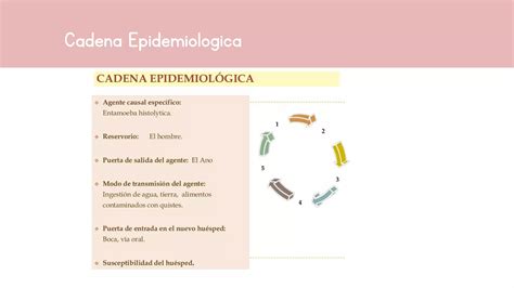 Epidemiologia Amebiasis Intestinal Ppt