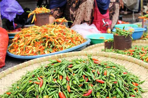 Jelang Idul Adha Harga Cabai Rawit Di Makassar Tembus Rp Per