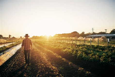 Dia do Agricultor a importância do profissional para a economia do