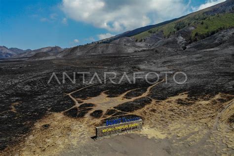 Kebakaran hutan dan lahan Gunung Bromo padam | ANTARA Foto