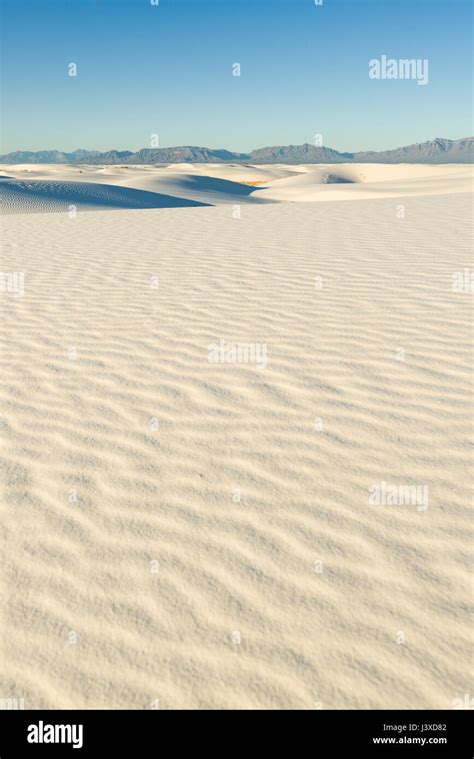 White Sand Dunes In Early Morning Light White Sands National Monument