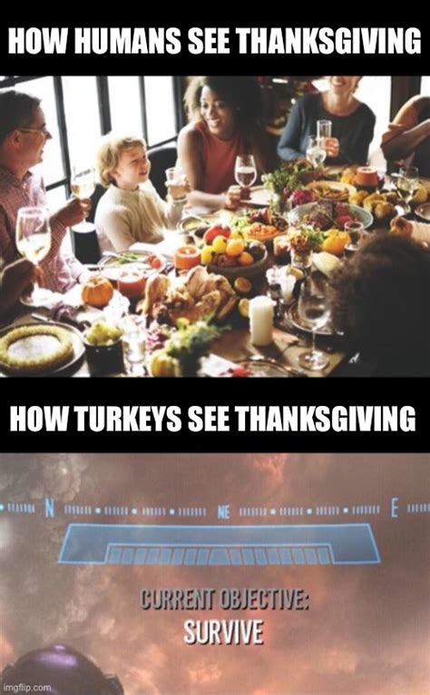 55 Funny Thanksgiving Memes for Turkey Day 2023 - Happier Human