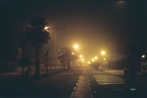 Analog Photography on Behance