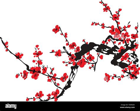 Realistic Sakura Blossom Japanese Cherry Tree Isolated On White