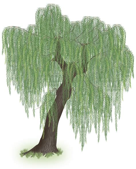 The Best Free Weeping Vector Images Download From 69 Free Vectors Of Weeping At Getdrawings