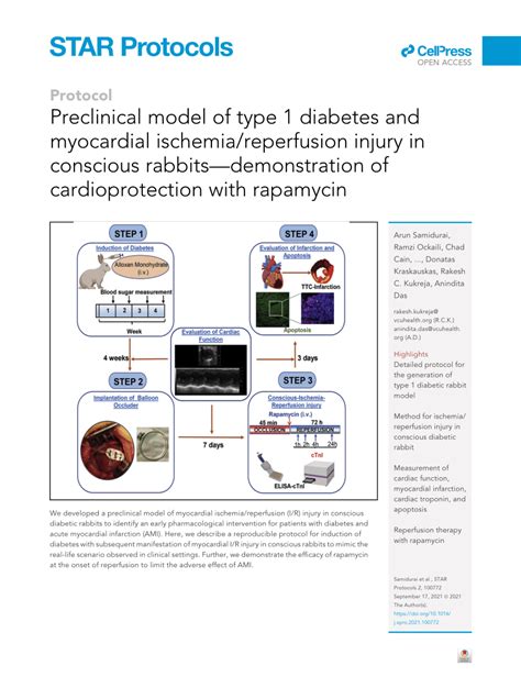 PDF Preclinical Model Of Type 1 Diabetes And Myocardial Ischemia