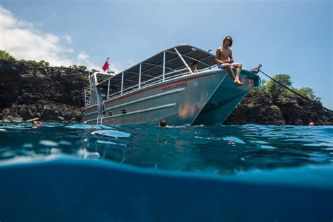 Hang Loose Boat Tours - Simply The Best On The Big Island of Hawaii!