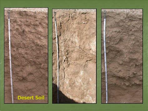 Ppt Soils Powerpoint Presentation Free Download Id522039