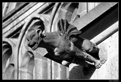 Gargoyle at Cologne Cathedral Wasserspeier am Kölner Dom a photo on