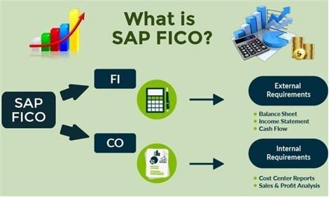 What Is Sap Fico Online Computer Classes