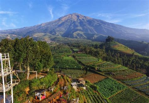 Kekayaan Alam Jawa Tengah Yang Melimpah Jawa Tengah