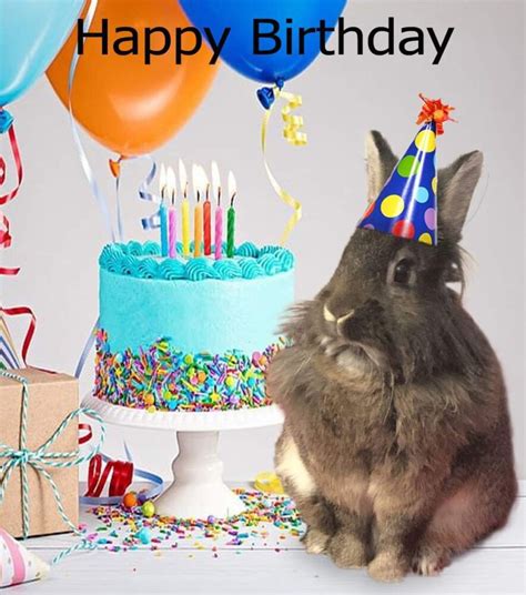 Happy Birthday, Clair Bear! - The Bunny Bunch