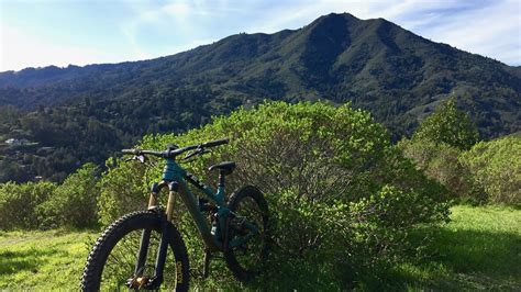 Petition · Increase mountain bike trail access in the Marin Municipal ...