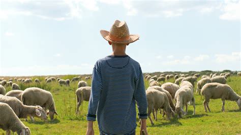 Vídeo Gratis Vista trasera de un adolescente caucásico con sombrero