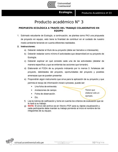 Prod Académico N3 Ecología 2019 10 A propeusta ecologica