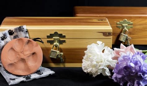 Dog Cremation Cost Breakdown Expenses And Services