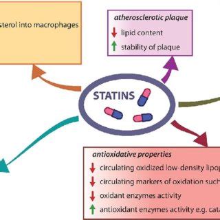 Pleiotropic Antiatherogenic Effects Of Statins Crp C Reactive Protein