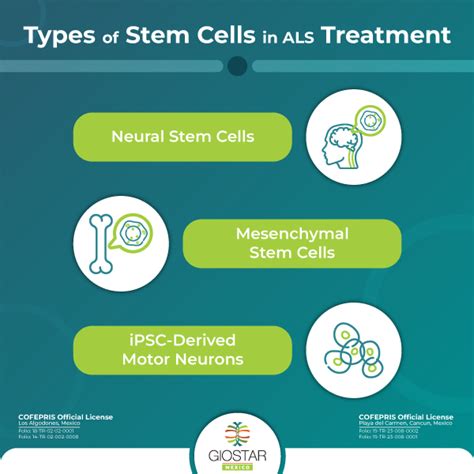 Role Of Stem Cell Therapy In Als Treatment