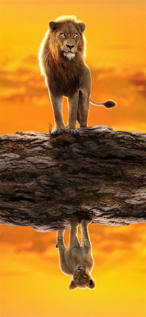 The Lion King Wallpapers 4k Hd The Lion King Backgrounds On Wallpaperbat