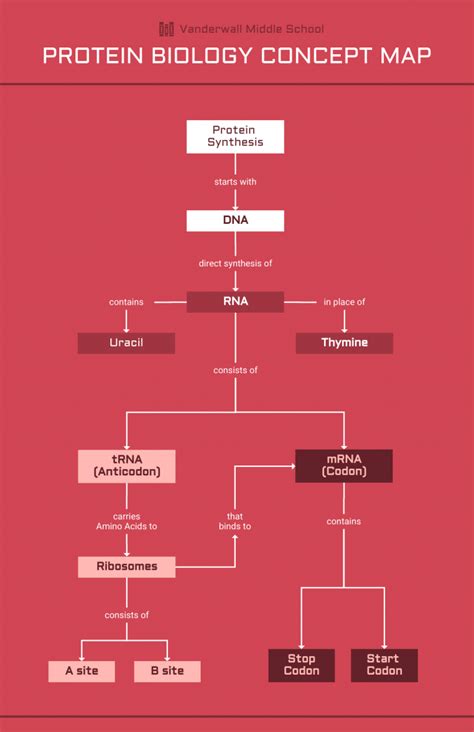 10 Concept Map Examples To Showcase Your Ideas Venngage