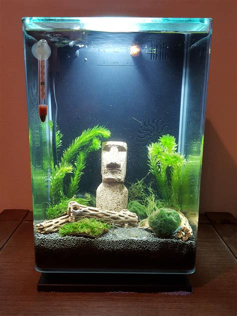 Tank setup - complete! : r/shrimptank