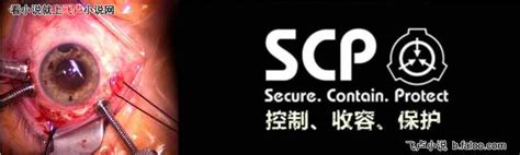 都市：我，编造了p基金会 第十章 上百双眼球！ （3更，求收藏、鲜花） 免费小说阅读 飞卢小说网