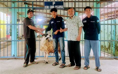 Penyembelihan Hewan Qurban Dan Pembagian Daging Qurban Sma Negeri