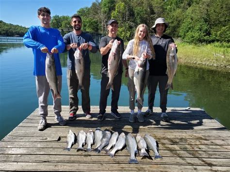 Beaver Lake Striped Bass Fishing Report Guided Striper