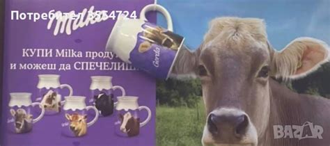 Търся чаши на Милка в Чаши в гр. София - ID38883920 — Bazar.bg