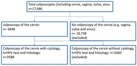 Diagnostics Free Full Text Cytology And High Risk Human