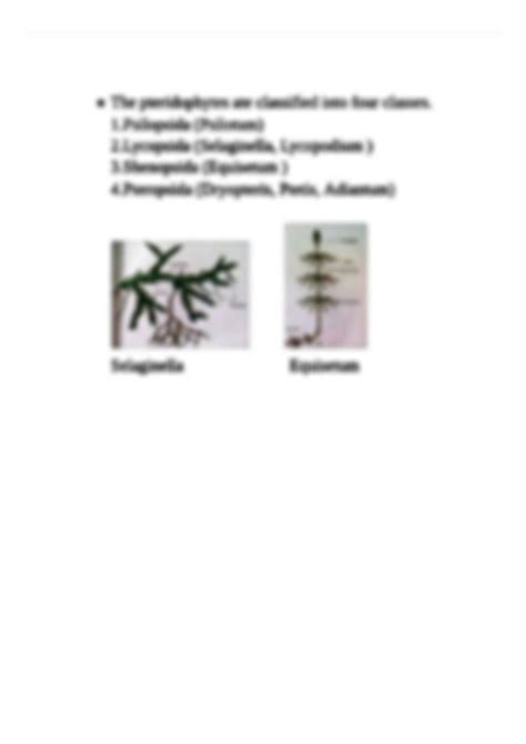 SOLUTION Taxonomy Plant Kingdom Classification Pteridophytes General