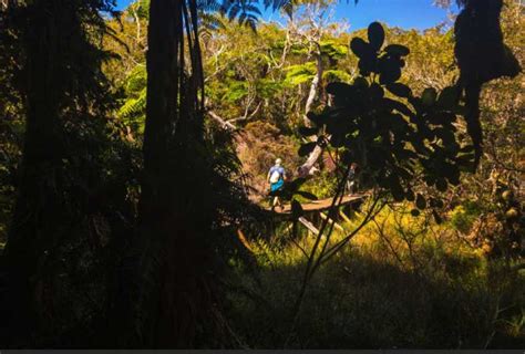 Que faire à La Réunion Top 15 des visites incontournables à voir